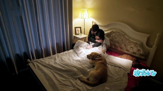 神犬小七全集剧情介绍7-8集:小七惹尽事端 艾良