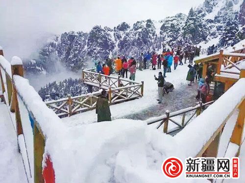 北疆八月雪花飘图片热传朋友圈(图)