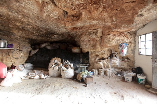 探秘巴勒斯坦穴居部落 十几平米养十几口人(组
