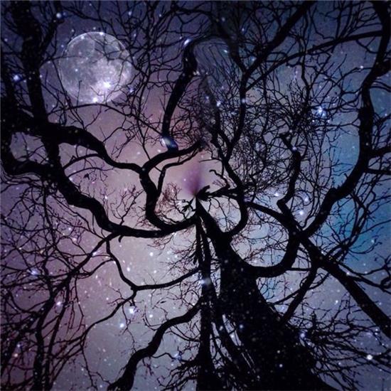 摄影师用iPhone拍出浪漫、唯美风景