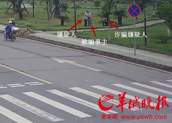 �Ŷ�����ɫ���ն���ƭ������������