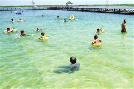 “上海最大露天游泳池”屡被曝光仍在无证运营