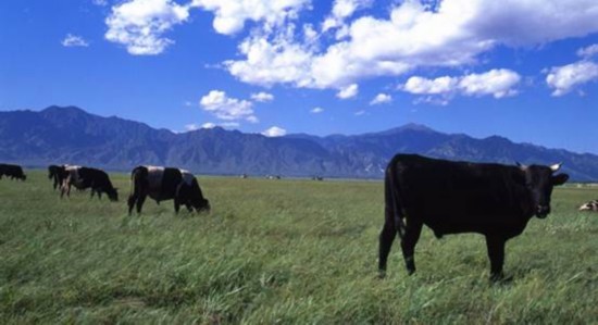 2015年七夕将近 恋爱甜甜情侣约会佳地