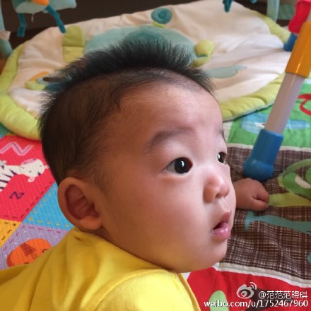 范玮琪晒爱子萌照 盼教会他们知足惜福(图)--重