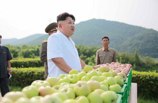 金正恩视察大同江果树综合农场 称赞水果大丰