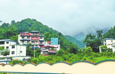 栾川:特色产业扶出村民新生活