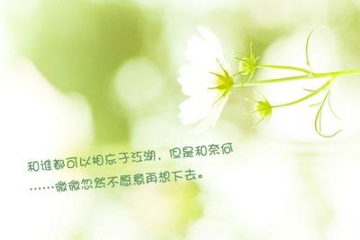 微微一笑很倾城电视剧杨洋肖奈郑爽贝微微 盘