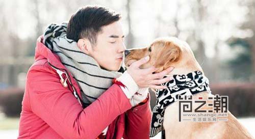 《神犬小七》小米是第几集死的?小米安乐死小