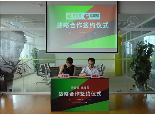 高搜易与青番茄达成战略合作 创新金融文化普