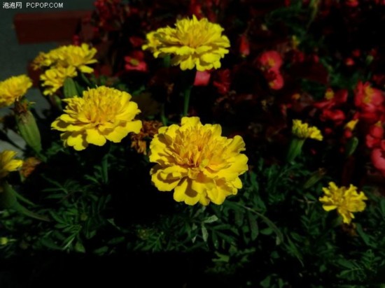 锤子坚果U1上手评测 外观美但内在略逊