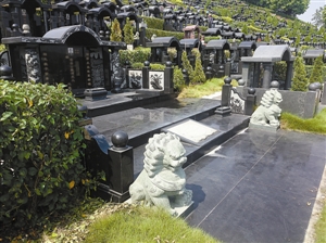 深圳墓地供不应求价格畸高 一个墓穴20多万元