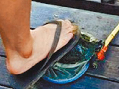高中生身份虐龟标题炫耀遭肉搜网站曝光(图)-政治集体高中大图片