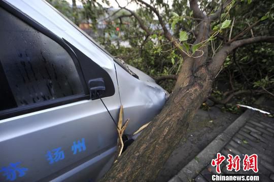 圖為遭遇強對流天氣，多輛車不同程度受損。　孟德龍 攝