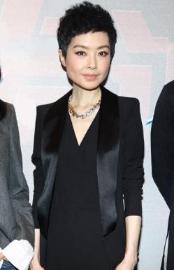鲁豫早年央视工作旧照曝光 <em>头发</em>及肩<em>婴儿</em>肥--重
