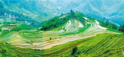 沃野千里土生金