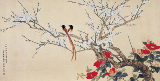 梅花寿带鸟（徐聪佑）