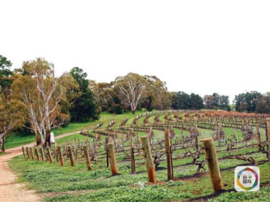 美杂志评年度最佳美食 绍兴臭豆腐上榜