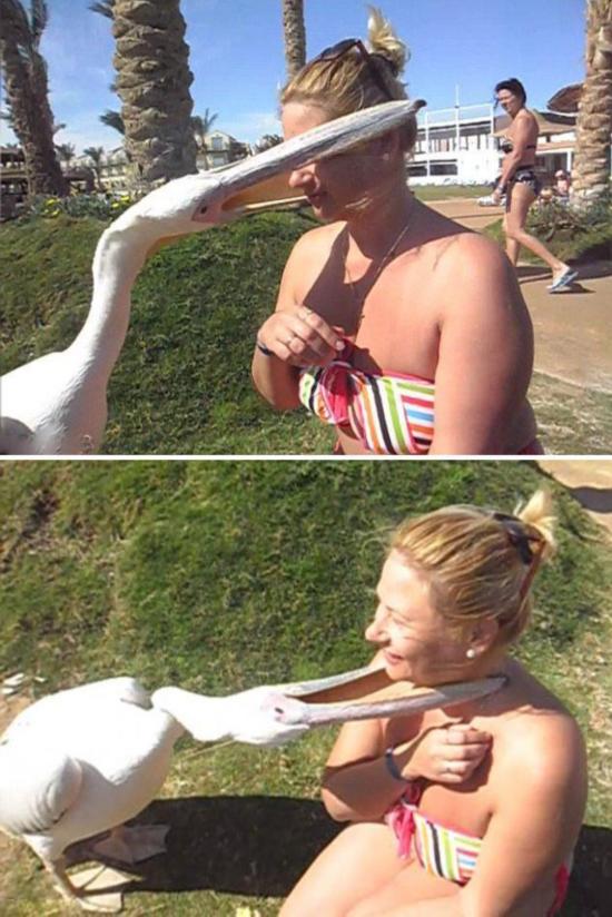 ʨ���ϸ��ٱ������ֳ������ع� �̵㶯��ɧ������˲��/��ͼ