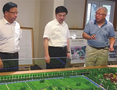 姜龙调研海门镇乡 要求以创新创意构筑新业态