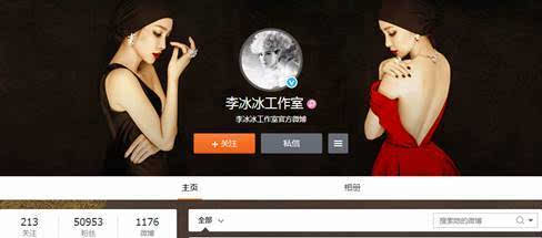 雪花秘扇_雪花秘扇票房收入(2)