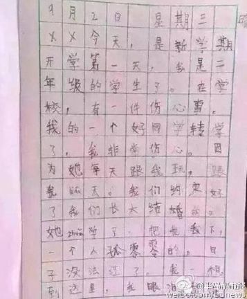 二年级小男生写相思日记:我们约好长大结婚的