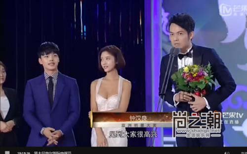 2015首尔电视节完整获奖名单:钟汉良张翰获亚