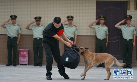 重庆:武警老兵退伍 警犬咬行李不放