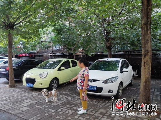 石家庄如何治 狗患 :三级联动 一招解多难(图)--