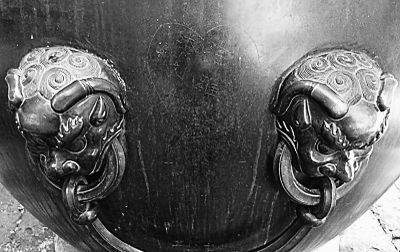 刘雅 亏你名字中还有个雅字