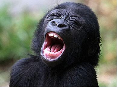 Win10来了!个人电脑安全你做好准备了吗?