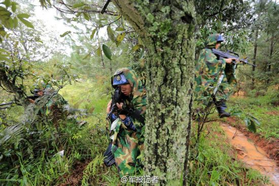 速速围观!揭秘海军陆战队丛林训练(高清组图)
