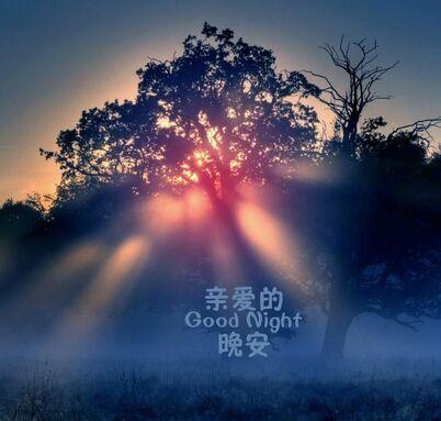 女白领卖晚安短信赚3千元 2015年高薪奇葩职