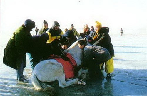 唐僧徐少华捞金 八戒玩单反猴哥戴眼镜西游幕