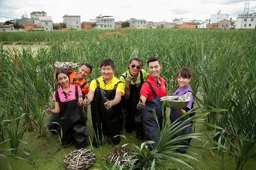 《十二道锋味》热播 马苏成幸福小表妹