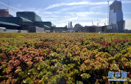 U.S.-NEW YORK-GREEN ROOF-ENERGY USE-REDUCTION
