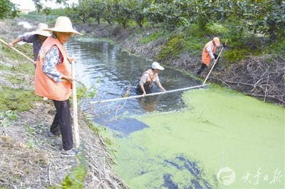 盐城大丰大中镇恒北村河道保洁 美化环境