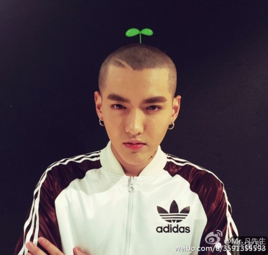 吴亦凡光头长草显帅气 明星谁最爱玩卖萌神器/图
