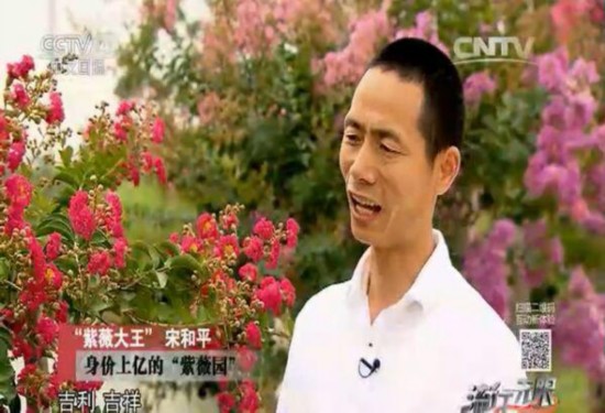 CCTV4首播紫薇大王宋和平 传播紫薇文化