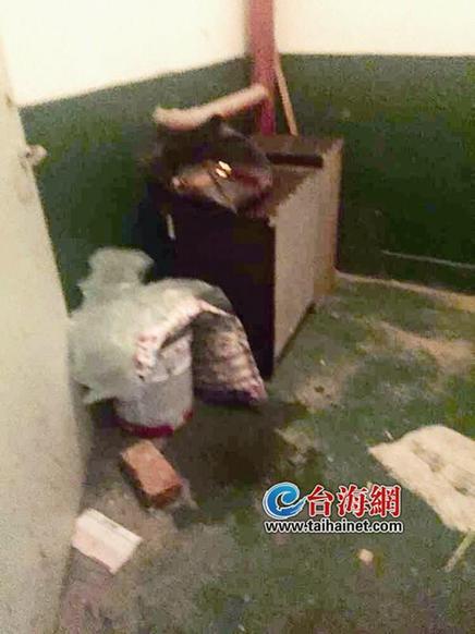 厦门一垃圾通道楼道成堆阻塞逃生小区居民心广告设计学习心得图片