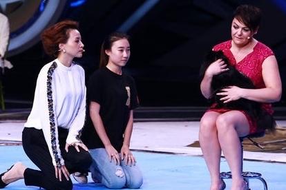 狐狸狗催眠下跪称害怕 网友质疑:感觉像托儿(图