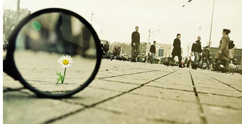 P2P理财系数全分析,有利网、绿化贷实力强劲