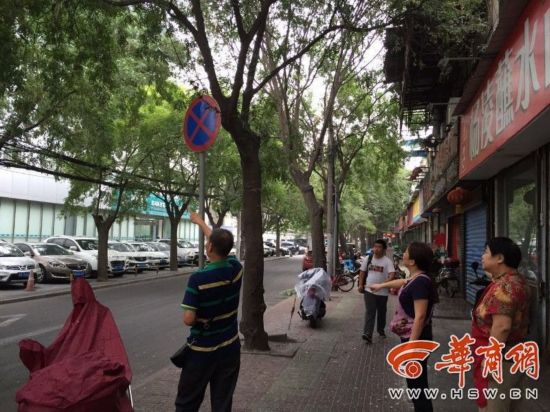 体育场北路皂角树白絮恼人轿车被黏液覆满