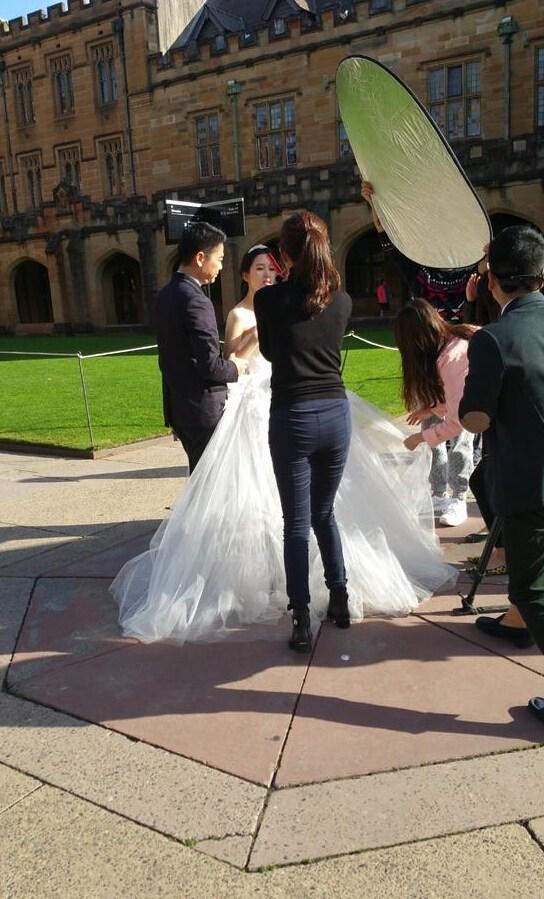 澳洲婚纱_澳洲粉色婚纱礼服图片(3)