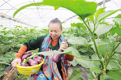 国庆玩转南宁清新乡村游 好看好吃又好玩地方