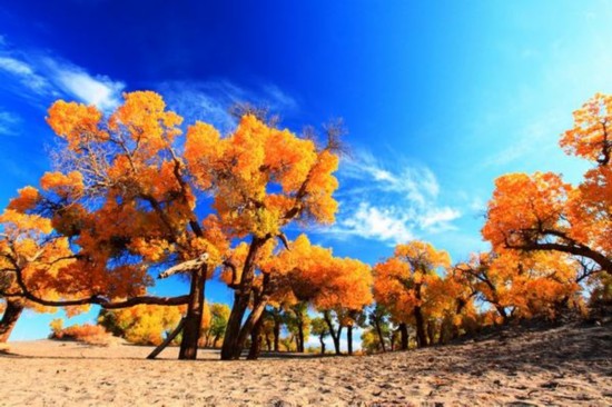 黄金周去哪儿?盘点金秋十月中国最美的地方--湖北频道--人民网