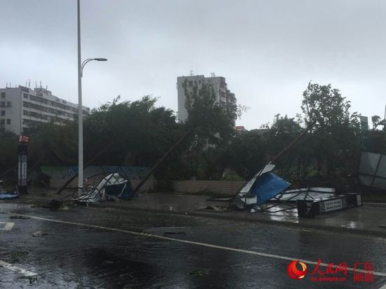 强台风彩虹袭击湛江霞山实验中学校园内大雕