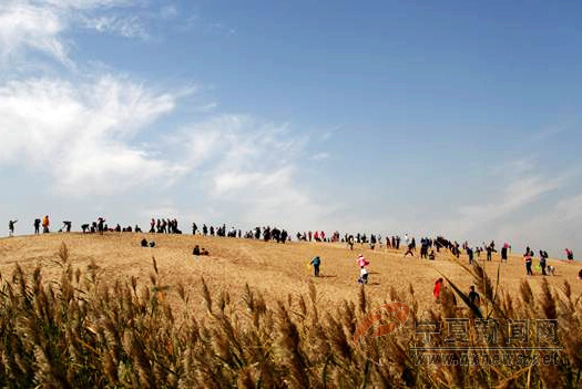 10月4日宁夏主要景区接待游客超过15.49万人