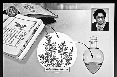 85岁中国药学家屠呦呦获诺奖全球数亿人受益