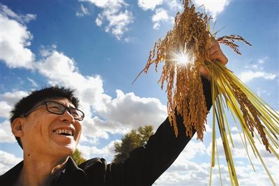 人民日报:镇江世业洲农民金秋长假忙碌收获