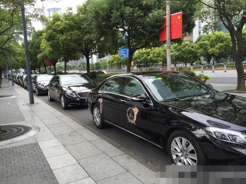 黄晓明baby大婚车队曝光 十辆起阵仗吓人(图)